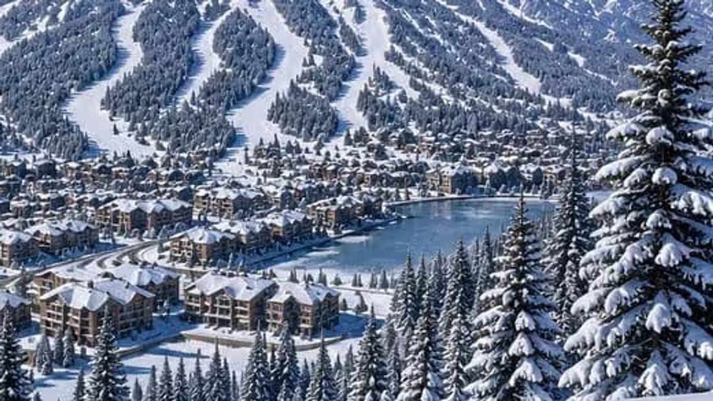 Steep snow-covered downhill ski racecourse framed by pines
