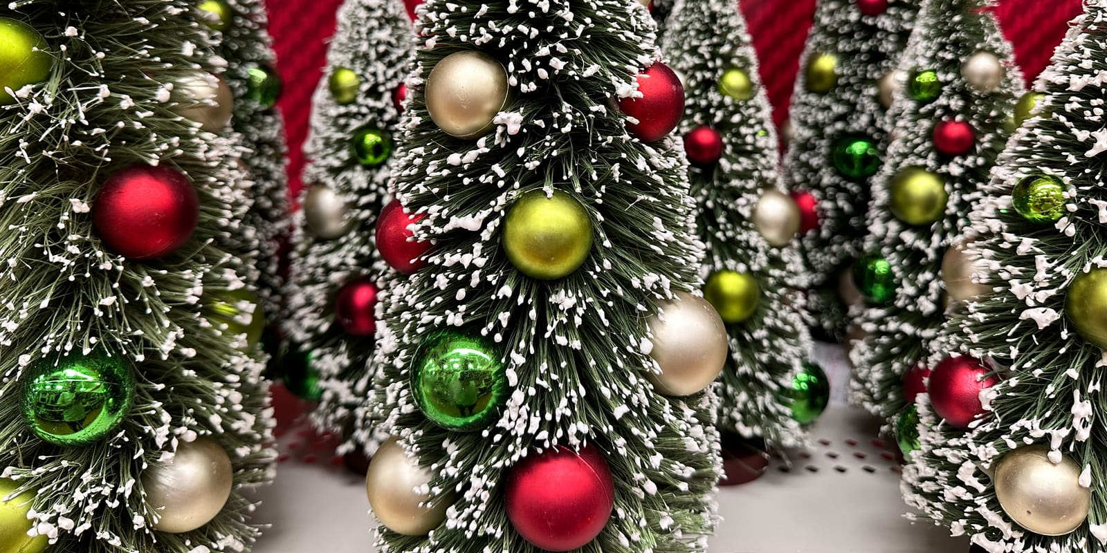 Rows of frosted miniature Christmas trees with colorful ornaments