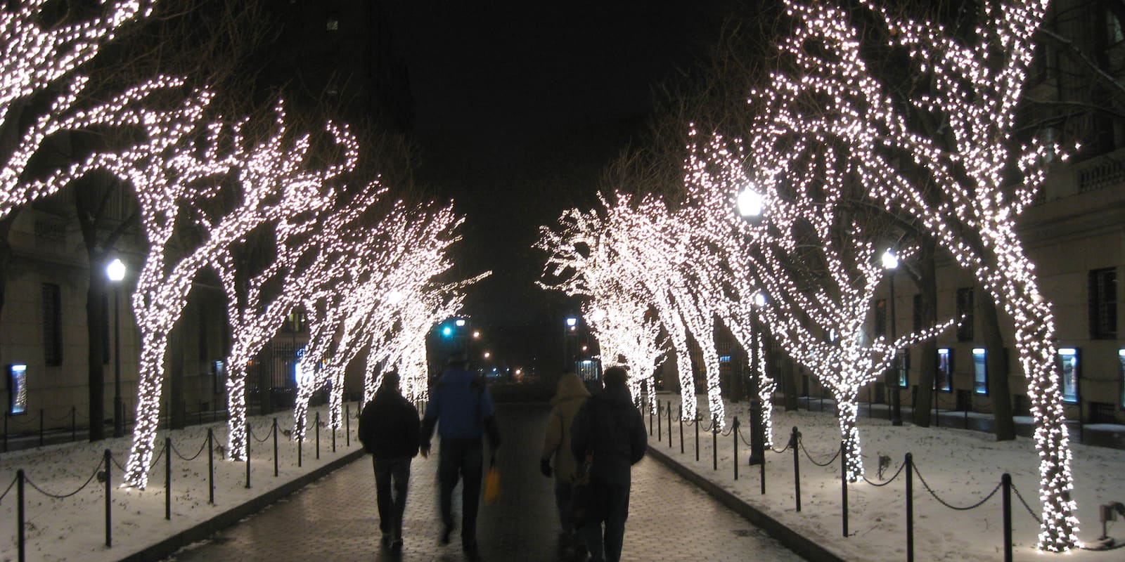 A walkway lined with trees wrapped in white holiday lights
